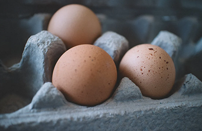 鸡蛋12月新开产增加 产能将重回增长